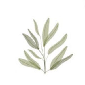 Meet your Posher, Carys!